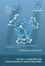 Nanomeeting-2015