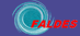 Faldes